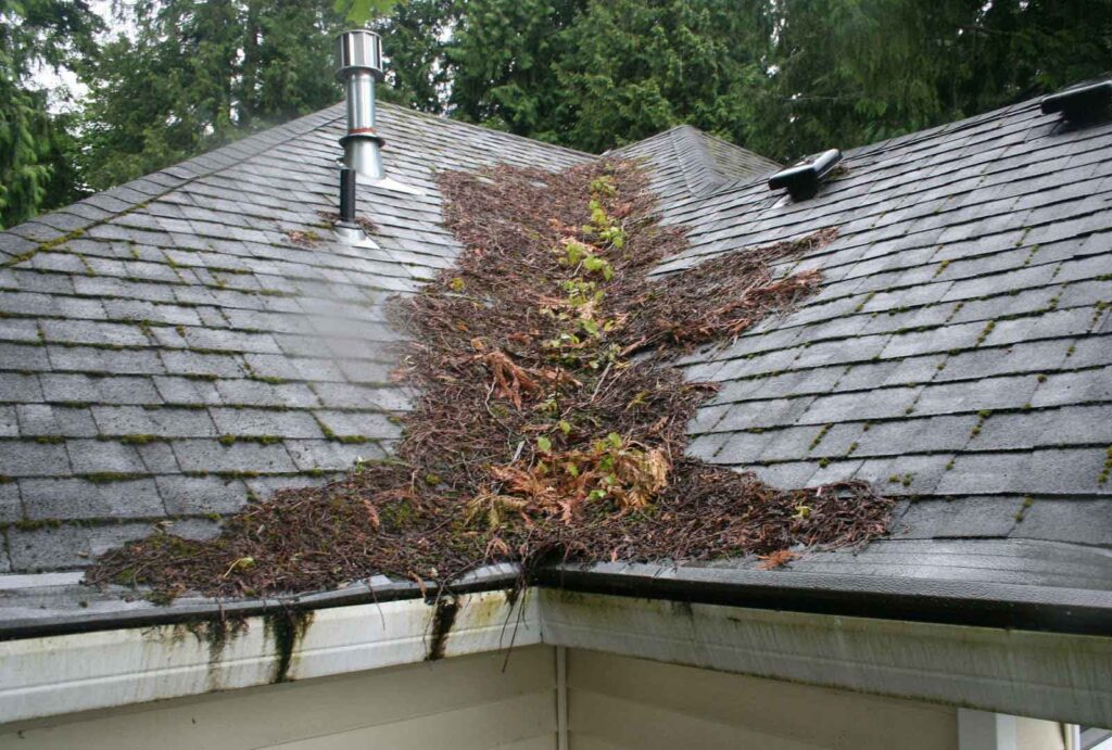 roof maintenance 2 - Alex Perez Roofing Sacramento