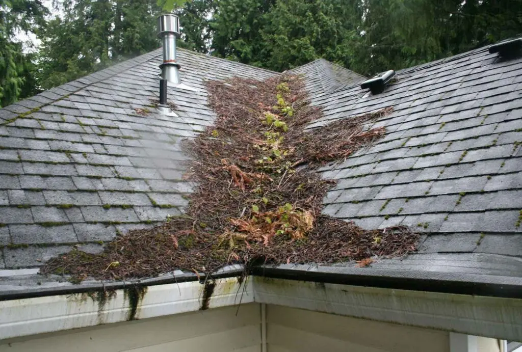 roof maintenance 2 - Alex Perez Roofing Sacramento